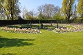23 04_Regents Park_2849